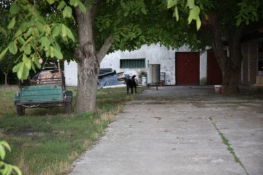 PROVERAVA SE SPISAK NESTALIH: Misterija obezlavljenog tela u Zrenjaninu