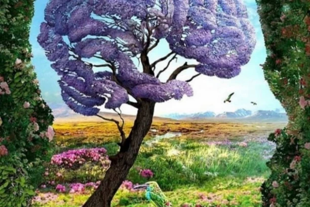 DA LI OVDE VIDITE DRVO, LICE ILI PTICU? To sve govori o vama!