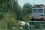 CRNA GORO, ZEMLJO INDIJO! Voz stao zbog krave na pruzi, usijanje na društvenim mrežama!
