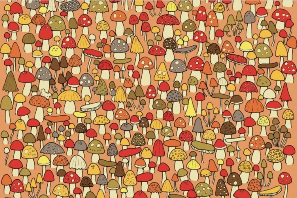 Možete li ovde da pronađete miša za 20 sekundi? Ako je odgovor "da", evo šta to govori o vama!