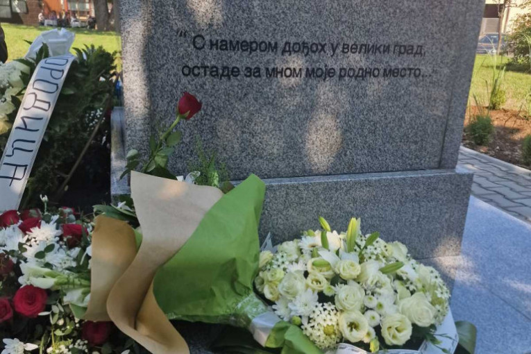 Stihovi Šabanove pesme 