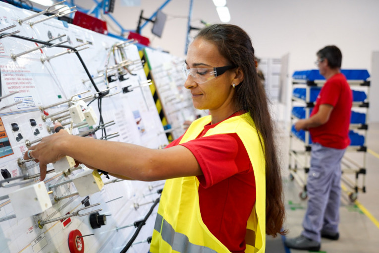 Fabrika Motherson group