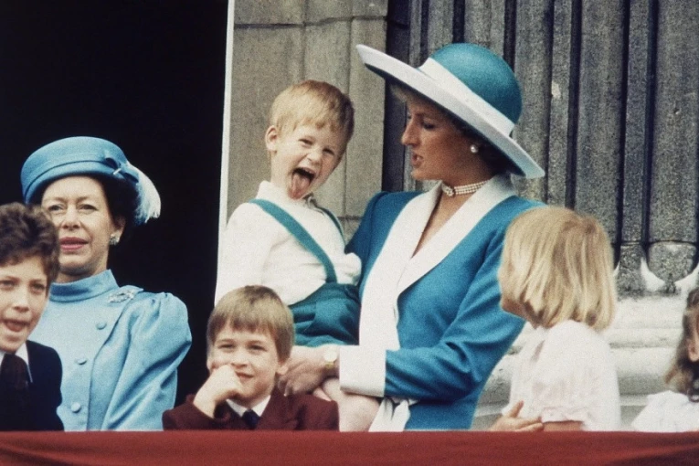 NISU SE "MIRISALI" OD MALIH NOGU: Sve o ANIMOZITETU prinčeva Vilijama i Harija