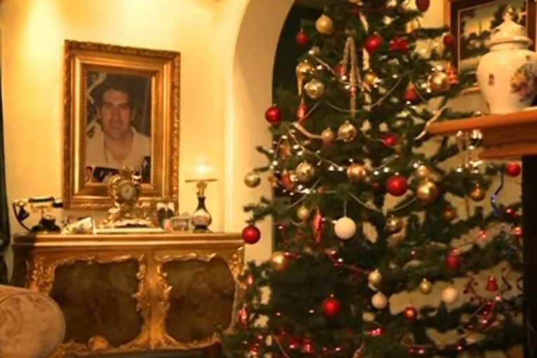 Dom porodice Šijan u Surćinu