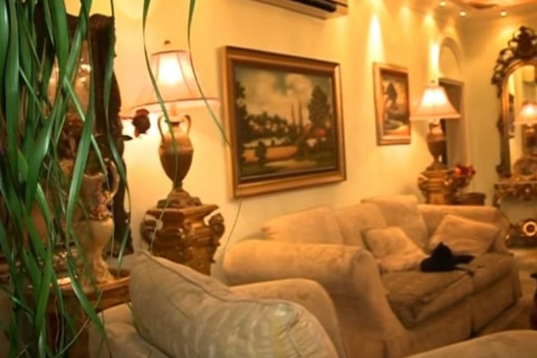 Dom porodice Šijan u Surćinu