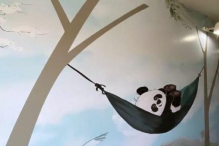 Dom porodice Šijan u Surćinu