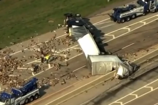 ZBOG VIBRATORA ZATVOREN AUTO-PUT! U sudaru dva kamiona velika količina tereta ispala na kolovoz! (VIDEO)