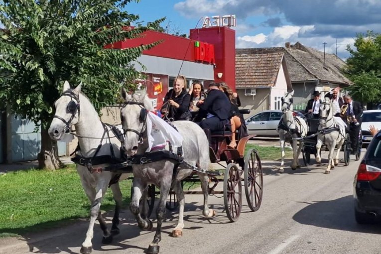 Mirko Šijan i Bojana Rodić kočijama prošli kroz Titel
