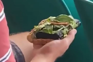 KO HOĆE - NAĐE NAČIN: Kakav je to sendvič? Najoriginalniji način unošenja alkohola na stadion! (VIDEO)