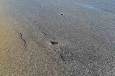 GROM OŠTETIO PISTU NA BEOGRADSKOM AERODROMU: Obustavljeni svi letovi! (FOTO)