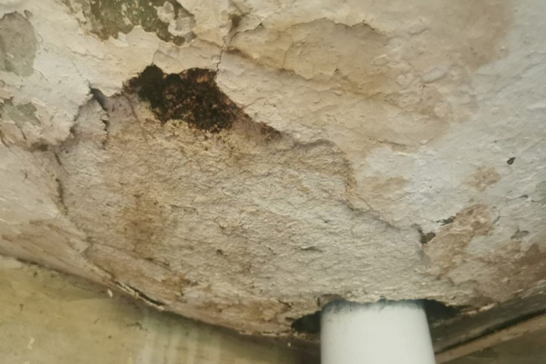 Plafon u trošnoj kući