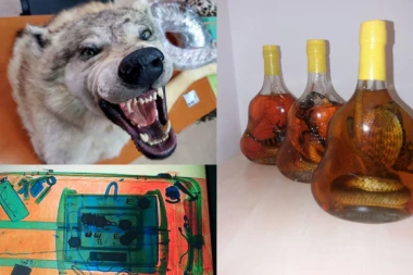 NEVEROVATNE ZAPLENE NA CARINI: Pola miliona evra u tosteru, gitara puna droge, kobre u flašama... (FOTO)