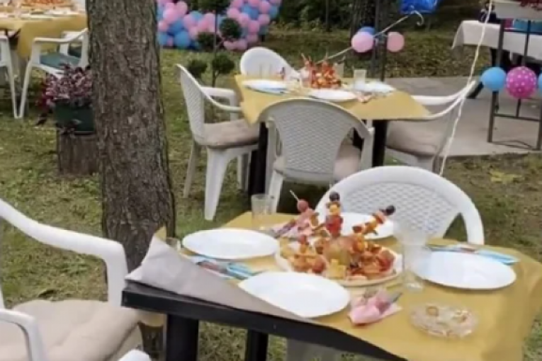 Proslava Bogdanine trudnoće