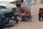 BRUKA I SRAMOTA: Pomahnitala žena se iživljavala nad psima u sred Beograda, prolaznici se ZGRAŽAVALI (VIDEO)