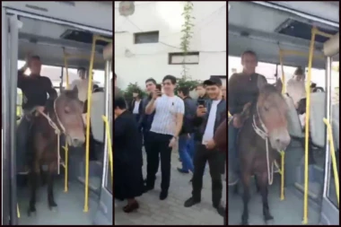 JAHAO KONJA U GRADSKOM PREVOZU? Bizarna scena zabeležena u video snimku! "Pet frendli" AUTOBUS  (VIDEO)
