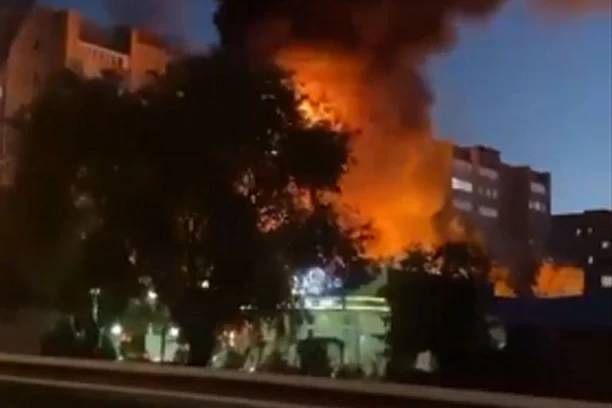 POZNAT UZROK PADA AVIONA U JEJSKU! Ptice krive za smrt 15 ljudi?