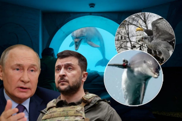 BOJNE ŽIVOTINJE KAO ADUTI NA FRONTU: Tamo gde ne može vojnik i moderna tehnologija, na scenu stupaju neki drugačiji borci (FOTO)