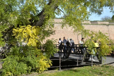 HLADNO JUTRO, ALI TOPAO DAN! Danas u Srbiji suvo i sunčano, totalni obrt sledi za vikend!