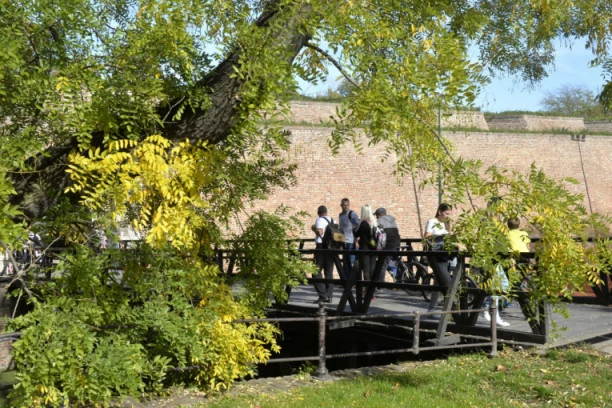 HLADNO JUTRO, ALI TOPAO DAN! Danas u Srbiji suvo i sunčano, totalni obrt sledi za vikend!