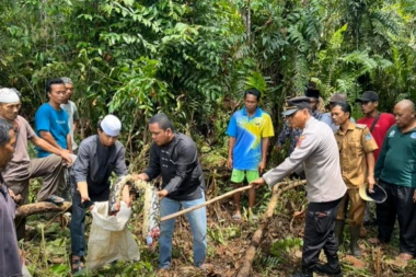 NESTALU BAKU PRONAŠLI MEŠTANI U UTROBI ZVERI! Mučenu ženu progutao PITON od 7 metara! MRCVARIO JE DVA SATA! (UZNEMIRUJUĆI VIDEO)