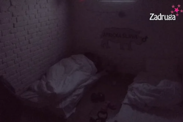 Miljana Kulić I Lazar Čolić Zola vrela ackija