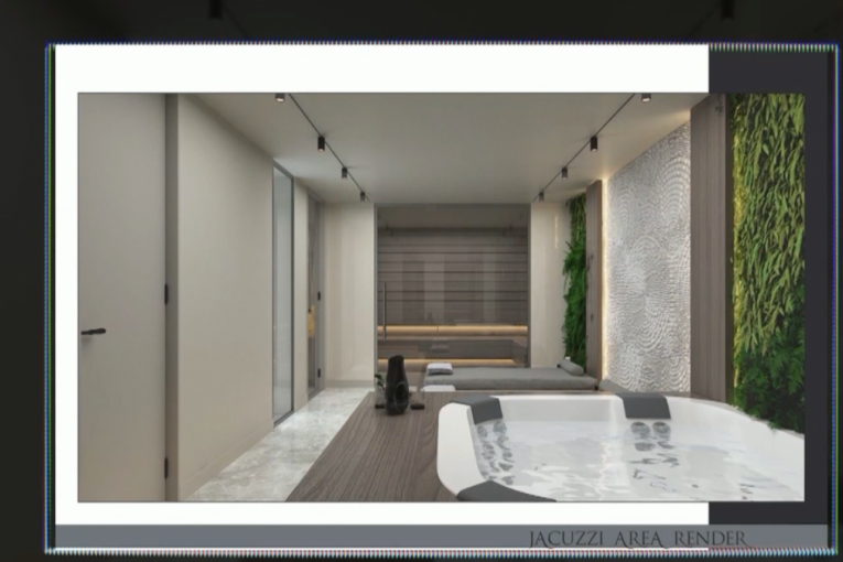 Ceca Ražnatović renovirala vilu na Kipru