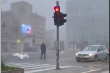 LABUD PROŠETAO ULICAMA NOVOG SADA: Evo koje narodno verovanje je vezano za ovu pticu (VIDEO)