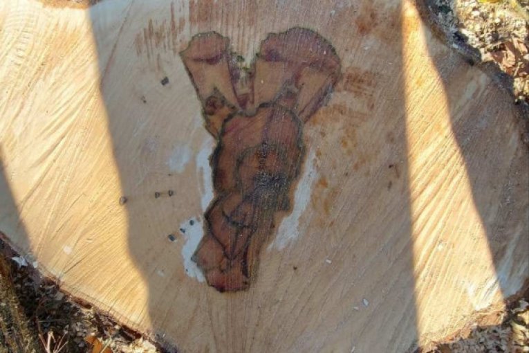 Simbolika u znaku krsta