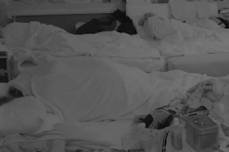 Maja Marinković i Bilal Brajlović u akciji