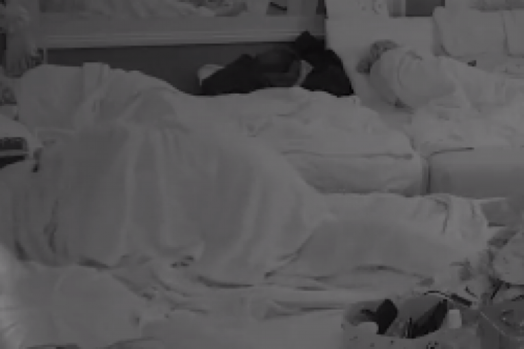 Maja Marinković i Bilal Brajlović u vreloj akciji