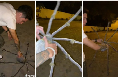 JEZIVO! U mraku naišao na džinovskog pauka, pa mu prišao i uzeo ga u ruke! Usledio POTPUNI ŠOK! (VIDEO)