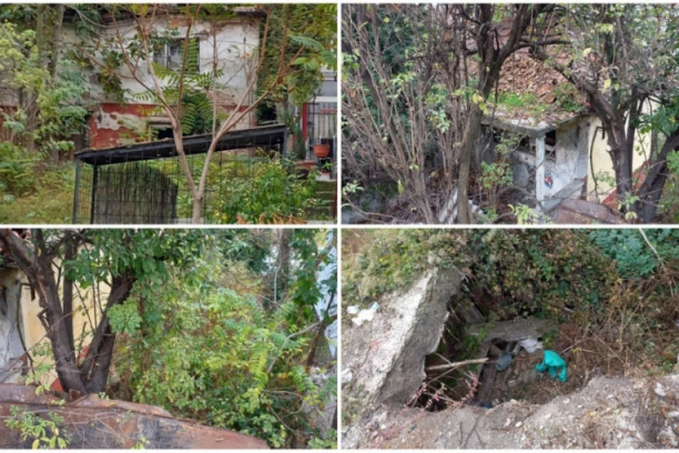 ZBOG OVE STRAĆARE DIREKTORKA NOVOSTI LEŽI U PRITVORU: Došli smo do šok fotografija, raskrinkavamo mafijašku hobotnicu u MUP! (FOTO)