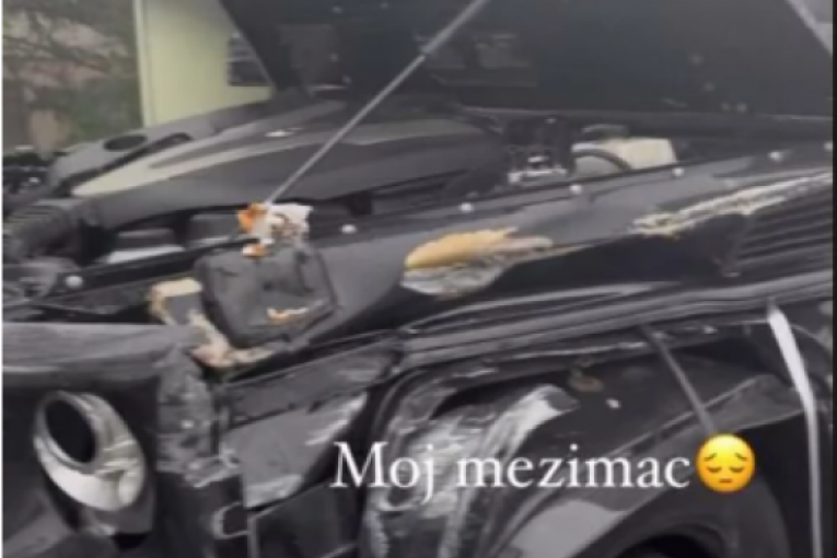 Slupan automobil Tamare Đurić