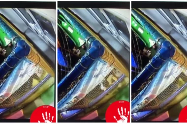 INSPEKCIJA POSETILA ŠKOLU! Nakon što su osmogodišnjaci brutalno pretukli druga iz razreda, na nogama Tužilaštvo i Centar za socijalni rad!