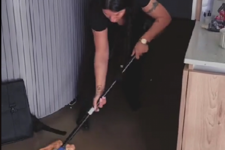 Seka čisti pod zogerom