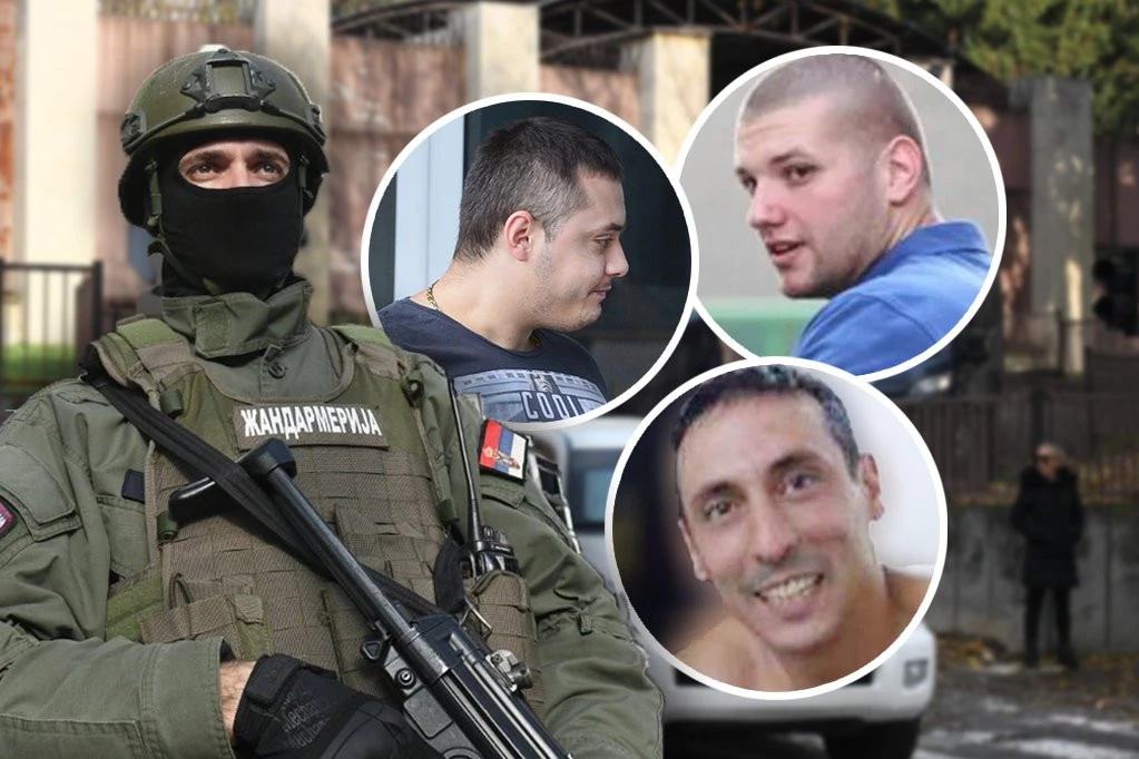 MIHAJLOVIĆEVO UGLJENISANO TELO TINJALO NA LOMAČI: Lalić i o ubistvu Vukićevića