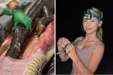 MANEKENKA SA SVOJIM TIMOM RASPORILA OGROMNOG PITONA: Ono što su pronašli unutra sve je šokiralo