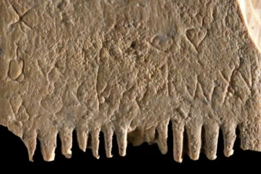 DEŠIFROVANA PRVA REČENICA IKADA NAPISANA! Prve reči napisane o vaškama!