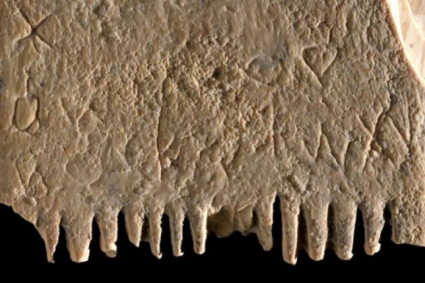 DEŠIFROVANA PRVA REČENICA IKADA NAPISANA! Prve reči napisane o vaškama!