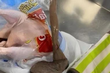 STAVIO JE OVO U PILE I POKUŠAO DA PROŠVERCUJE AVIONOM: Policija HITNO reagovala, ludilo! (FOTO)