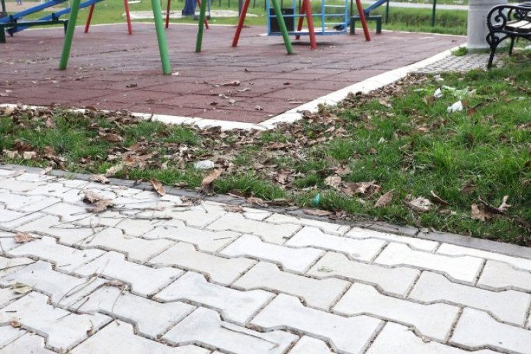 Izgaženo uvo na samom ulasku u park