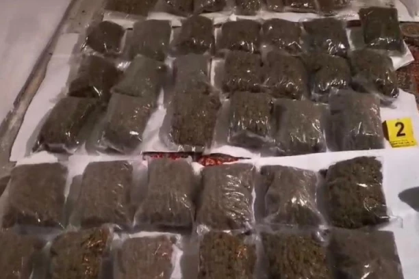 NIŠLIJA PAO ZBOG DROGE: Policija pretresom vozila pronašla opojne supstance