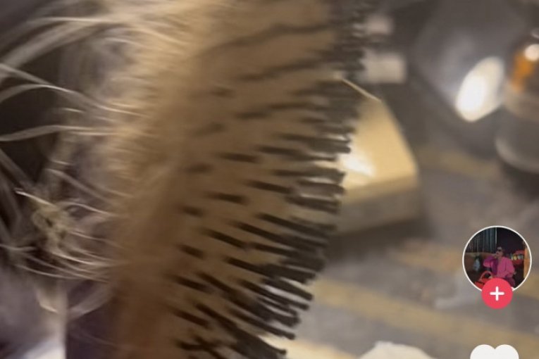 Ivana pokazuje koliko je kose otpalo nakon češljanja