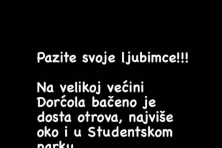 Trovanje ljubimca na Dorćolu