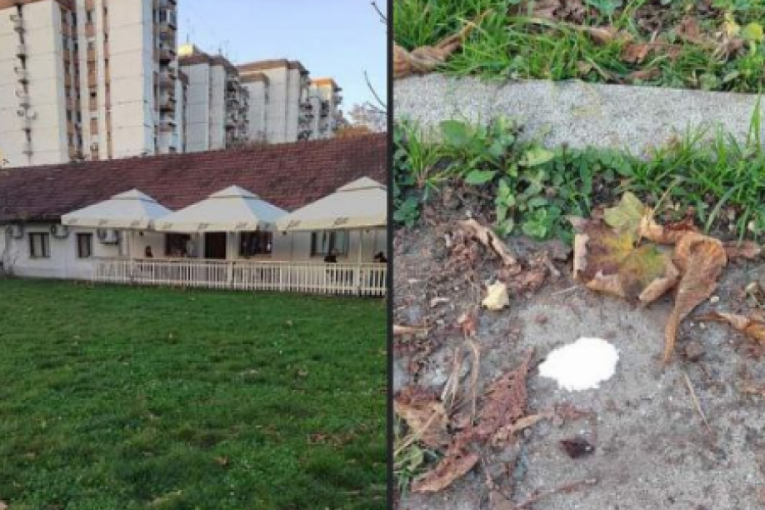 Otrov po ulicama i  i parkovima Beograda