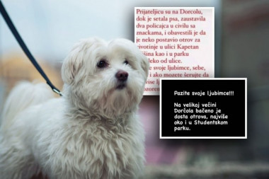 KOME SMETAJU NEDUŽNE ŽIVOTINJICE? MUP upozorio: Dojavljeno brutalno trovanje pasa na Dorćolu, apel svim građanima! (FOTO)