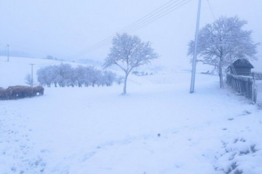 ZABELELO SE U SRBIJI! Sneg padao čitavu noć, vozačima se savetuje oprez u vožnji! (FOTO)