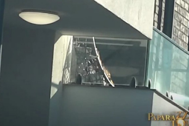 Teodora Džehverović u novom stanu