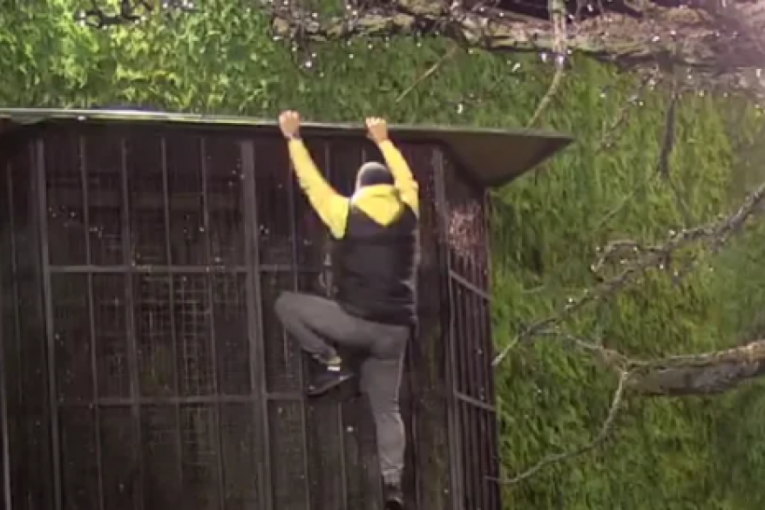 Bebica beži iz Zadruge