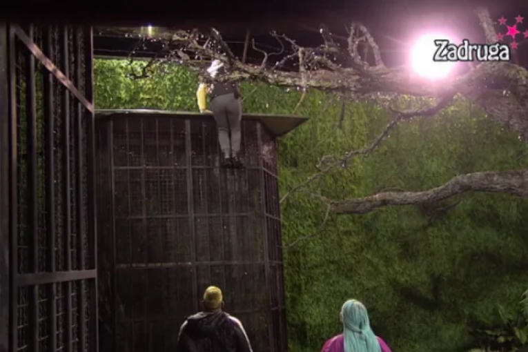 Bebica beži iz Zadruge